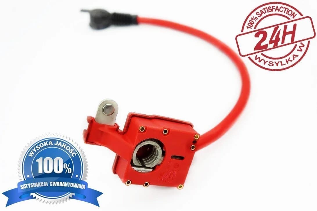 Klema plusowa BMW X1 E84 | E90 | E91 (9217031-01, 9217031)